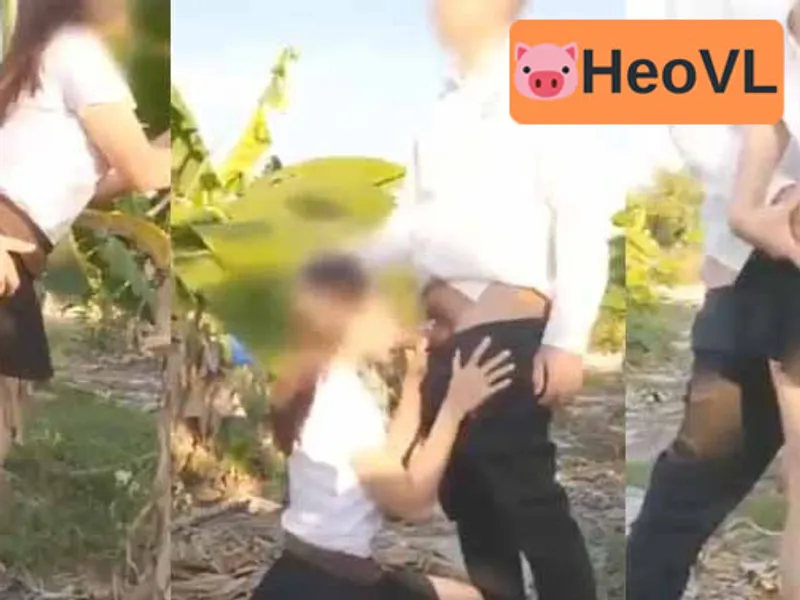 Đưa em vào bụi chim mút củ khoải rồi doggy